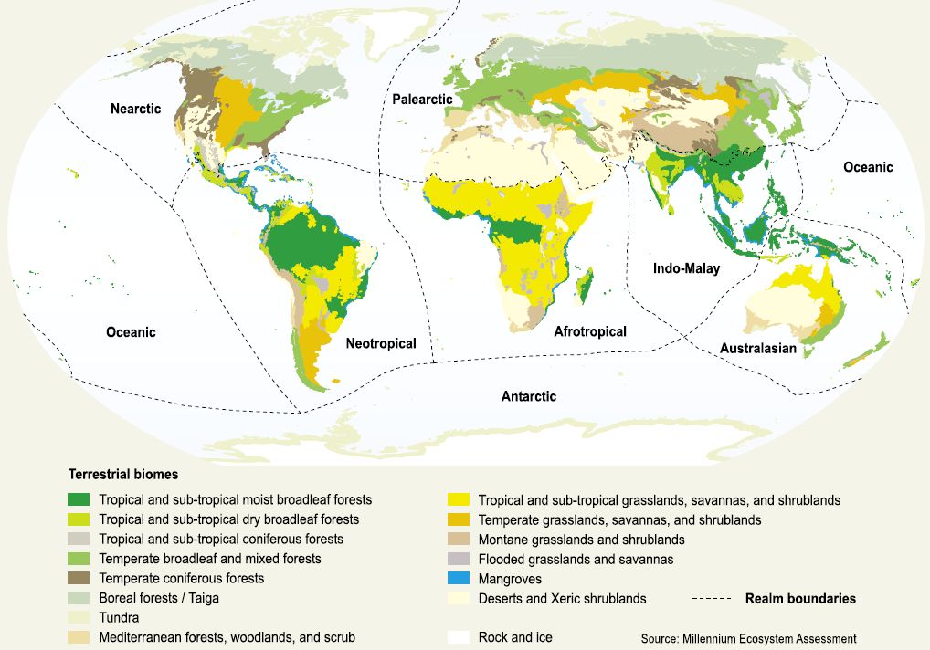 Globale Allmende Artenvielfalt